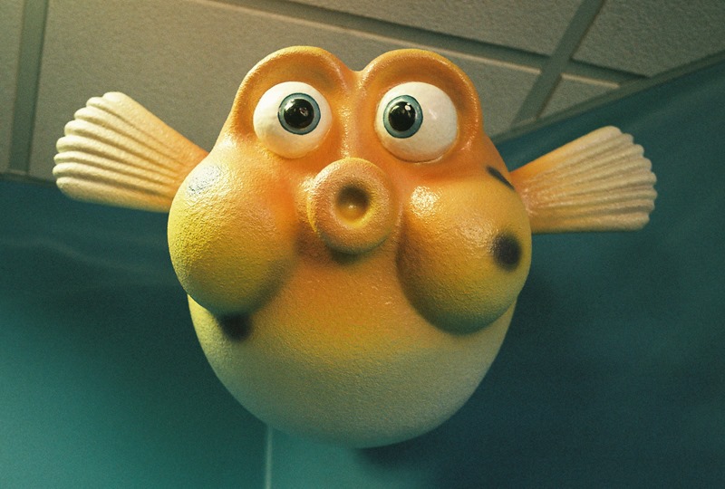 blowfish