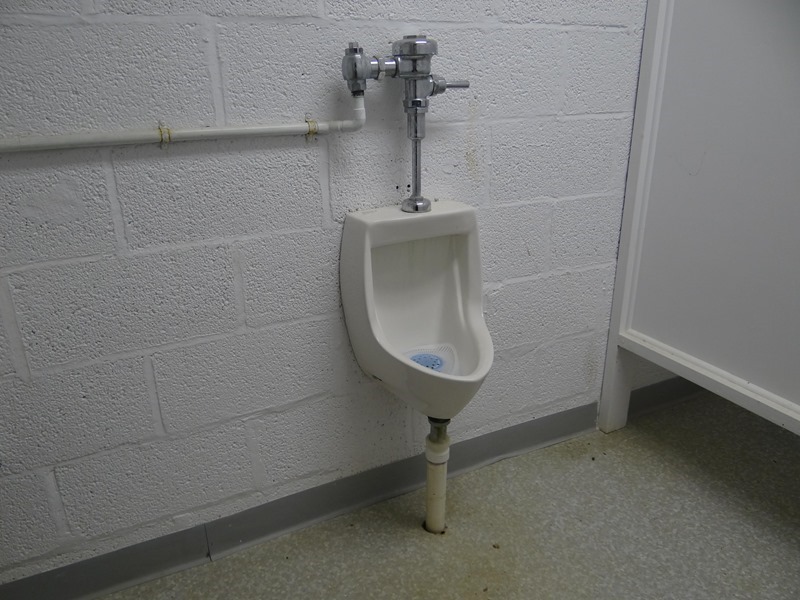 urine