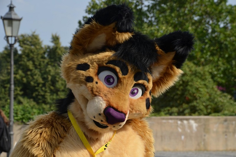 furry
