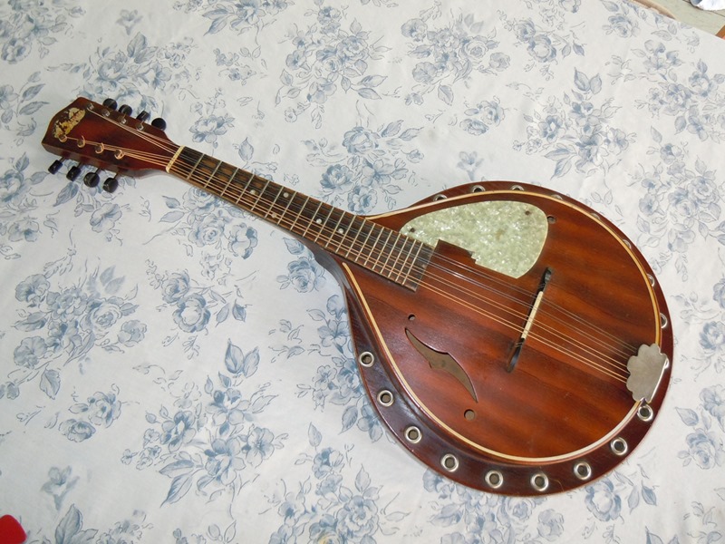 mandolin