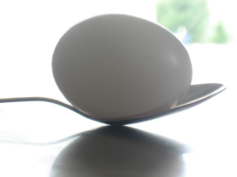 egg