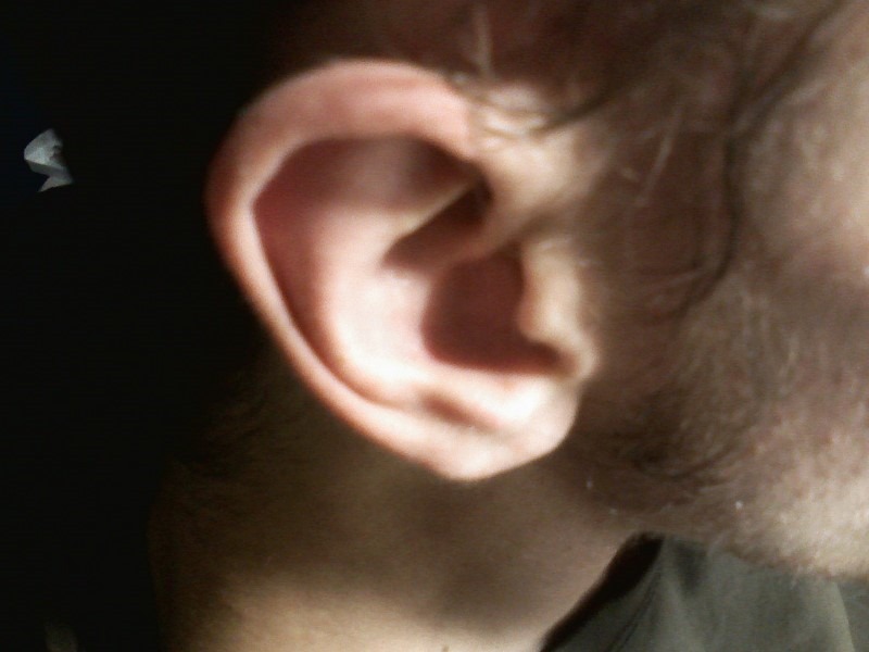 ear