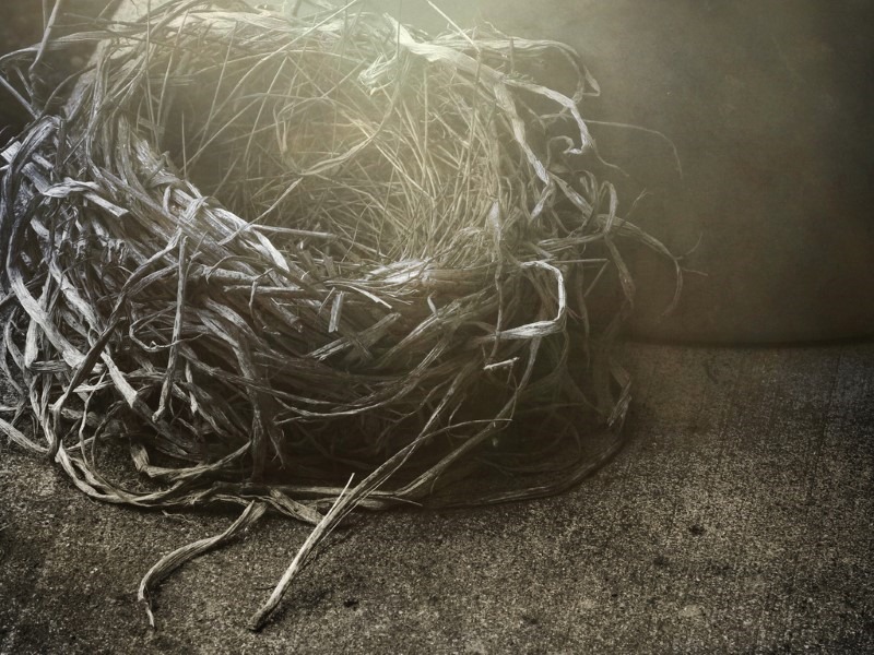 empty-nest
