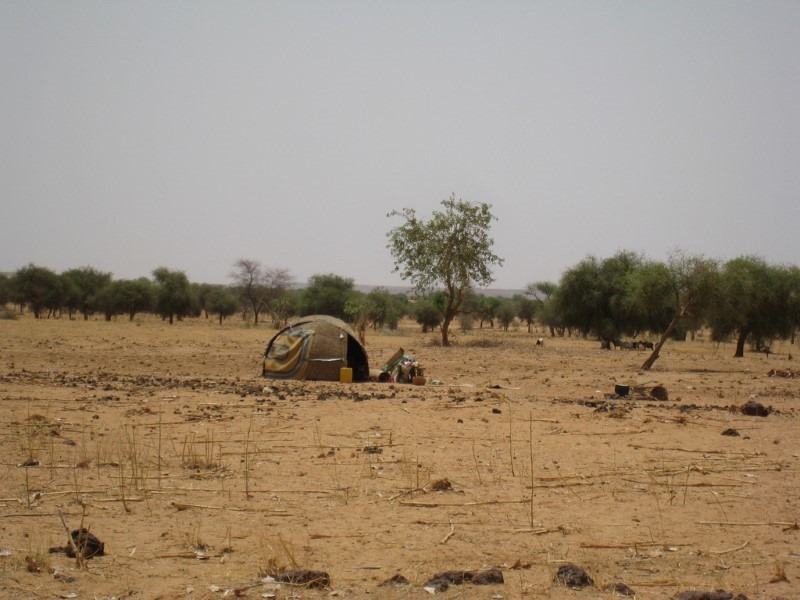 fulani-hut
