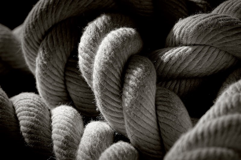 knots