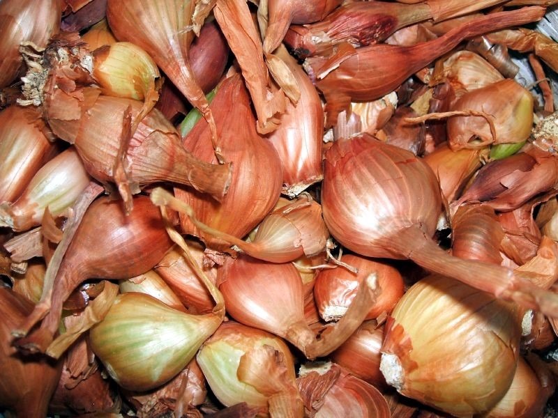 shallots