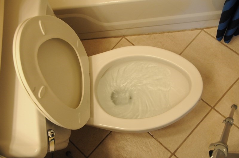 the-flush