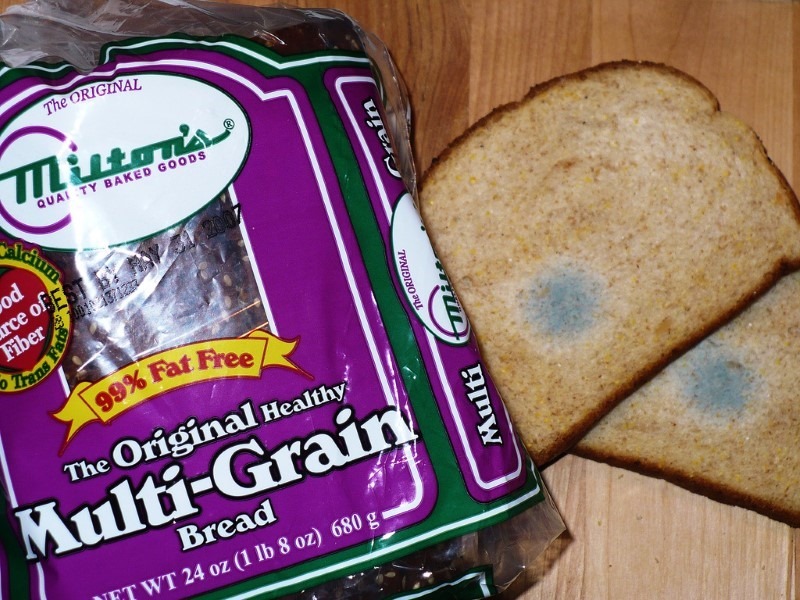 moldy-bread