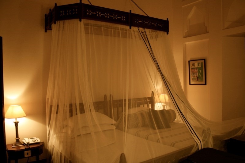 mosquito-netting