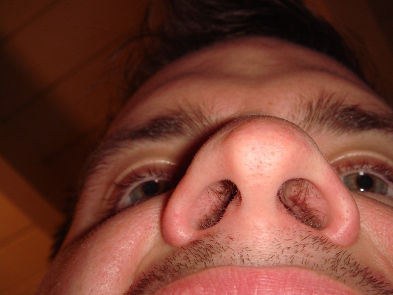 the-nose-knows