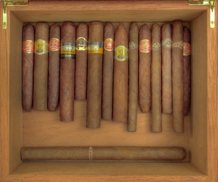 collection-insured
