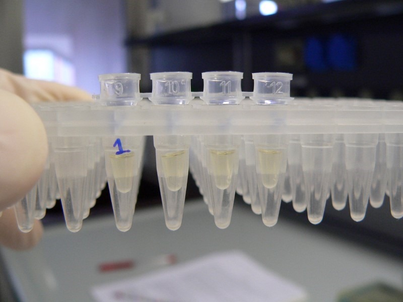 samples-to-go