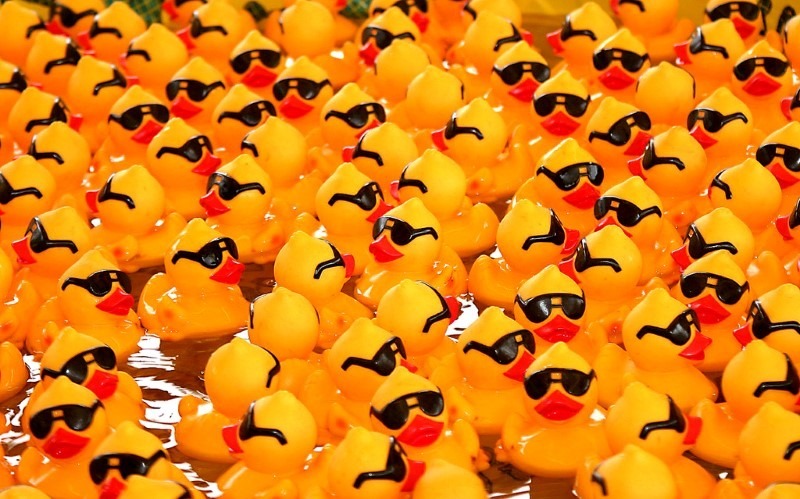 rubber-ducks