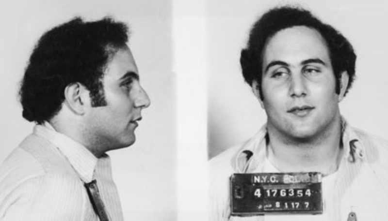 david-berkowitz